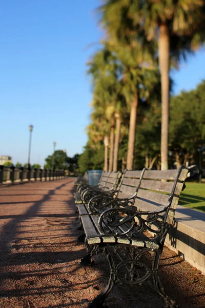Parkbänke Der Waterfront Von Charleston South Carolina — Stockfoto