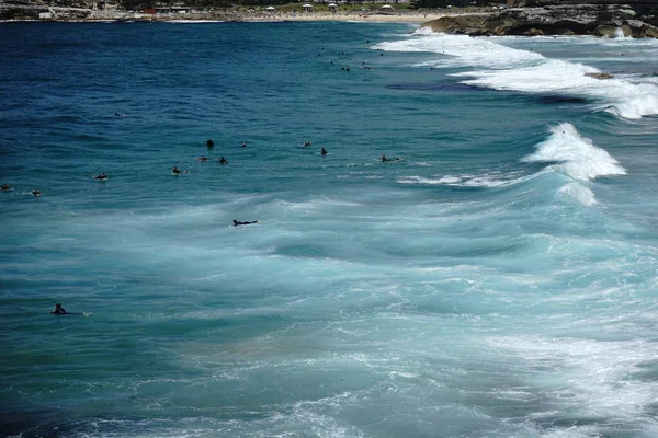 Bronte Beach Sydney Avustralya Dalgalara Doğru Kürek Çeken Sörfçüler — Stok fotoğraf