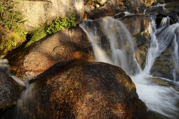 Dappled Sunset Light Rocks Plants Bells Creek — Stock fotografie