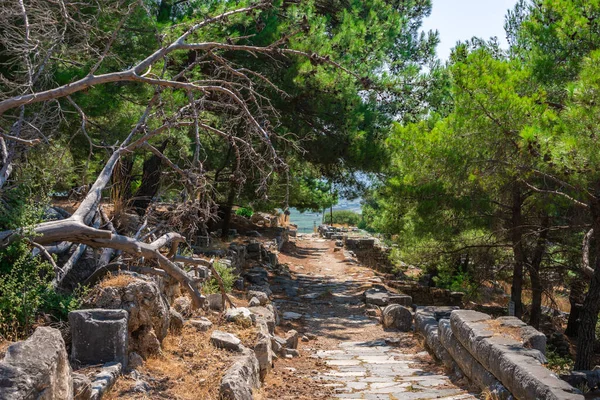 Türkiye 'nin antik Yunan kenti Priene' nin kalıntıları güneşli bir yaz gününde