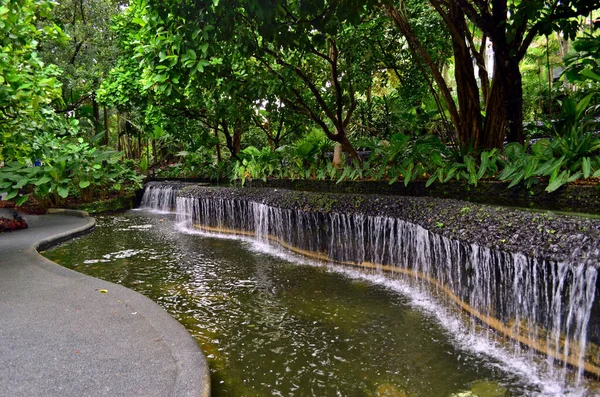 Liten Damm Med Vatten Cacade Singapore Botaniska Trädgården — Stockfoto