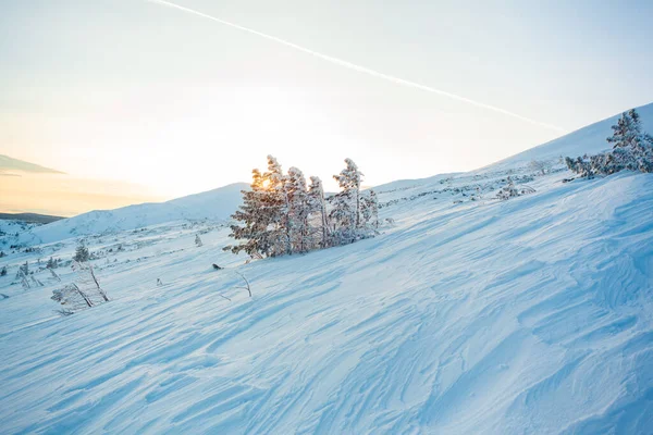 乌拉尔冬季山地景观 俄罗斯 — 图库照片