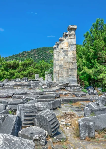 Rovine Del Tempio Athena Polias Nell Antica Città Priene Turchia — Foto Stock
