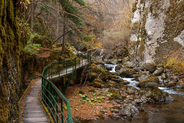 Pont Pour Les Randonneurs Dans Gorge Rivière Devinska Bulgarie Automne — Photo