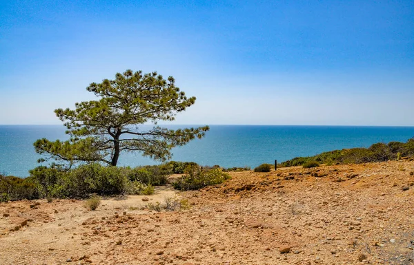 California Torrey Pines Ocean Widoki — Zdjęcie stockowe
