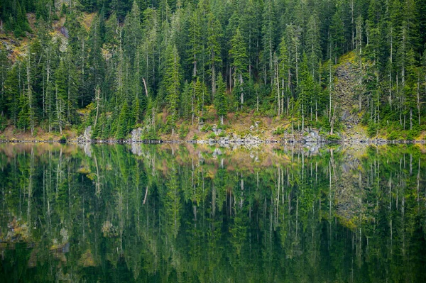 Дерева Відображаються Гірському Озері — стокове фото