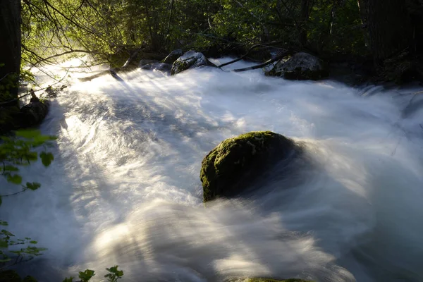 Pozdní Světlo Proudí Zelení Rozsvěcuje Divoký Alpský Potok — Stock fotografie