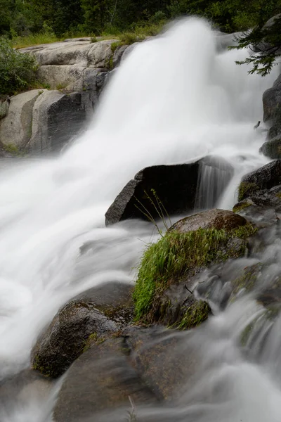 Οικείο Τοπίο Της Άνοιξης Run Στο Bells Canyon Wasatch Mountains — Φωτογραφία Αρχείου