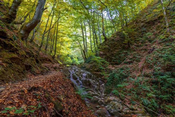 Cascade Paysage Coloré Avec Belle Cascade Rivière Montagne Dans Forêt — Photo