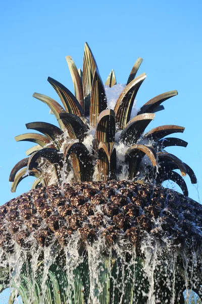 Ananas Fontän Charleston South Carolina — Stockfoto