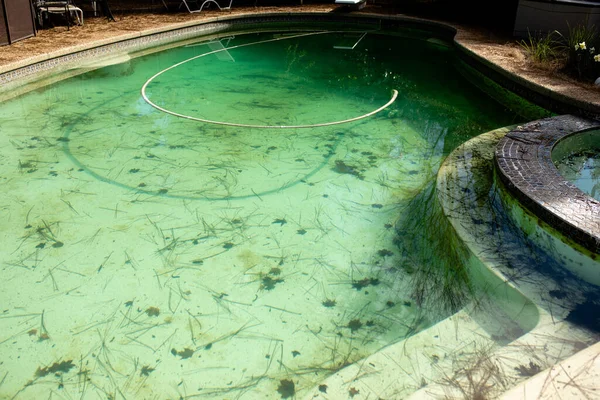 Piscina Agua Verde Con Algas Necesidad Servicio —  Fotos de Stock