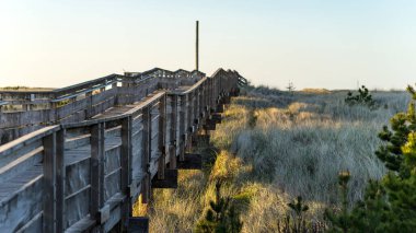 Washington, ABD 'deki boş sahil yolunda bahar günbatımı