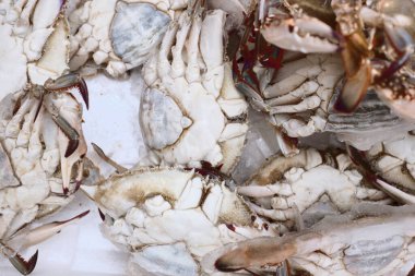 Yerel bir markette taze organik yengeçler