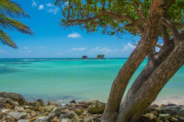 Rocky Cay plajının kıyıları