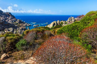 Sardunya 'nın kuzeyinde farklı şekillerde kayaları olan bir pelerin.