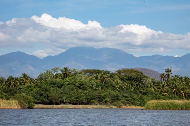 Arkasında dağlar olan tropik bir manzara.
