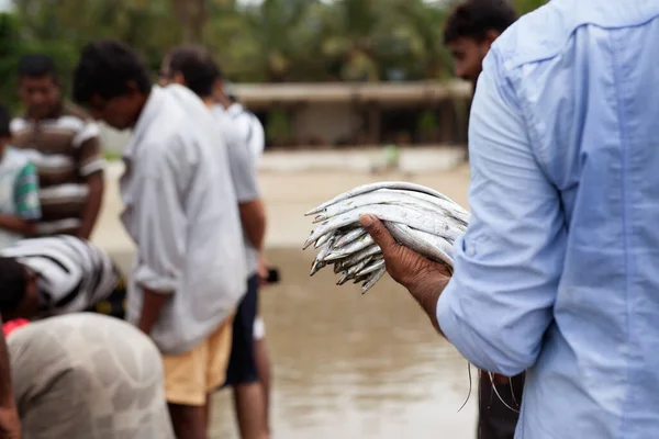 Fisherman Holds Fish Caught — Stock Photo, Image