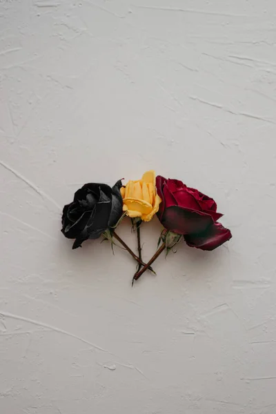 Tres Rosas Sobre Fondo Blanco — Foto de Stock