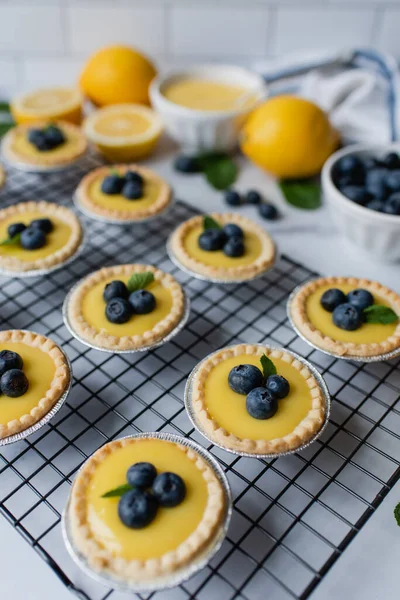 Mini Lemon Tarts Blueberries Cooling Rack Marble Counter — Stock Photo, Image