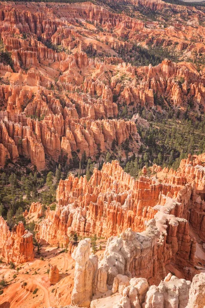 Detalle Bryce Canyon Desde Punto Bryce —  Fotos de Stock