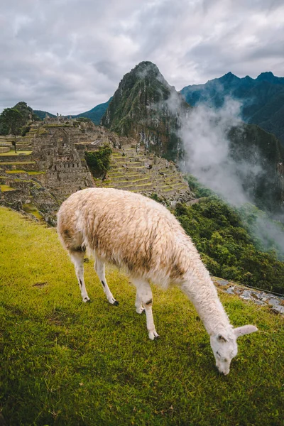 Viajar Por Perú Una Las Mejores Culturas — Foto de Stock