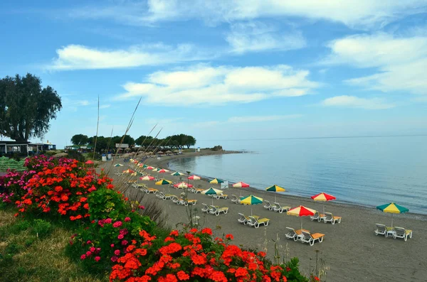 Strand Napsütéses Sátrakkal Virágokkal Parton Rhodes — Stock Fotó