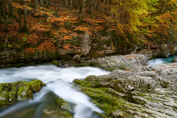 Ordesa Vadisi Ulusal Parkı Ndaki Arazi Nehri Spanya Daki Pireneler — Stok fotoğraf