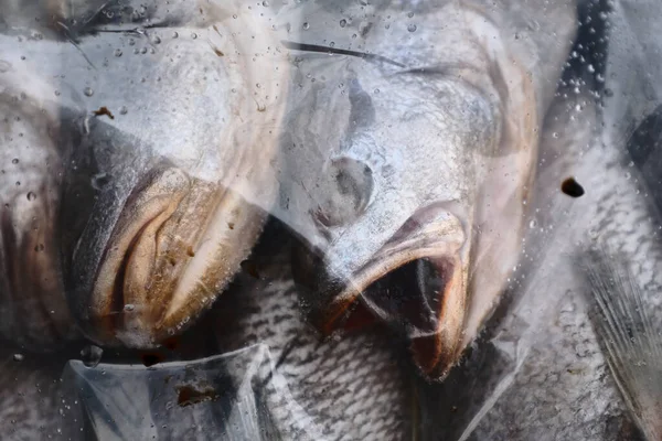 Peixe Fresco Num Saco Plástico Num Mercado Local — Fotografia de Stock