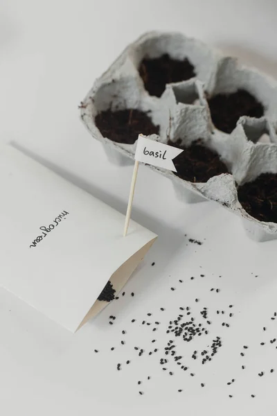 Platos Pequeños Que Crecen Caja Huevo Pollo Cartón Suelo Negro —  Fotos de Stock
