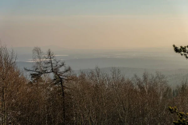 Paysage Hivernal Oural Horizons Forestiers — Photo