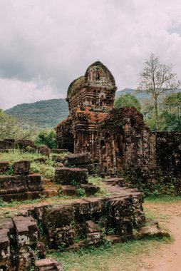 Antik kalıntılar (UNESCO), Vietnam 'dan Hindu tapınakları