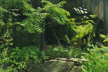 Pennsylvania 'nın ortasındaki Kırsal Çiftlik Sahnesi