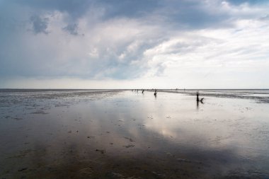 Wadden Denizi, Almanya 'da dalgaların çekildiği sahilde sakin ve sakin bir deniz manzarası var.