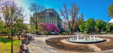 Odessa, Ukrayna 28.04.2020. Ukrayna 'nın Odessa şehrinin bahçesinde güneşli bir nisan sabahı açan bahar ağaçları.