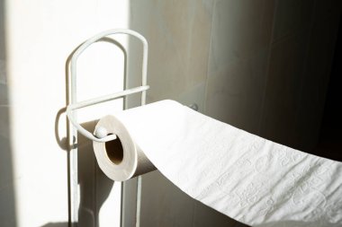 Banyodan tuvalet kağıdı almak. Tuvalet kağıdı rulosu kavramı.