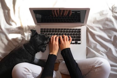 Evde köpeğinin yanında dizüstü bilgisayarla çalışan bir kadının en iyi görüntüsü. Ev konseptinde çalış.