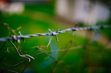 Old and danger barbed wire closeup