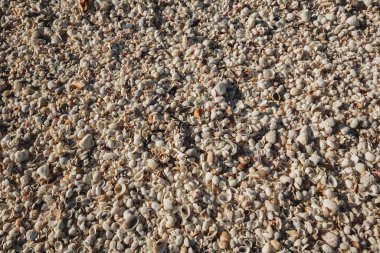 Florida Sanibel Adası 'nda top mermisi yağmuru durdu.