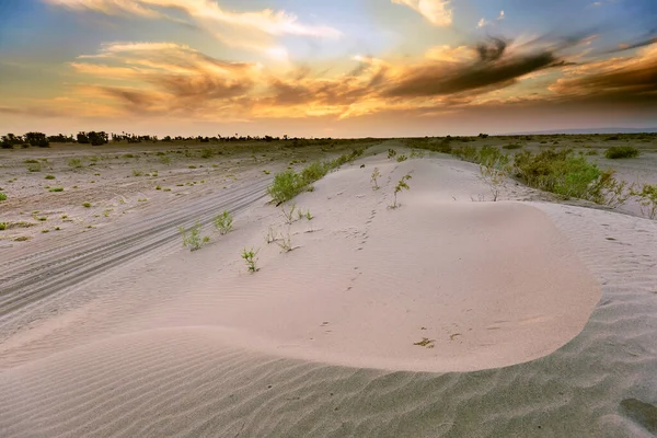 Zonsondergang Aan Poorten Van Sahara Woestijn Hamid Ghizlane Marokko — Stockfoto