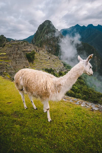 Podróżowanie Peru Jednej Najlepszych Kultur — Zdjęcie stockowe