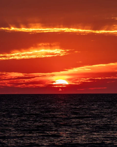 太陽が雲を越えて沈む時に 海の上の火の空を飛ぶ鳥 — ストック写真