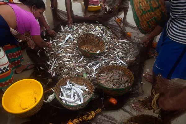 Balıkçılar Yakaladıkları Balıkları Paylaşırlar — Stok fotoğraf