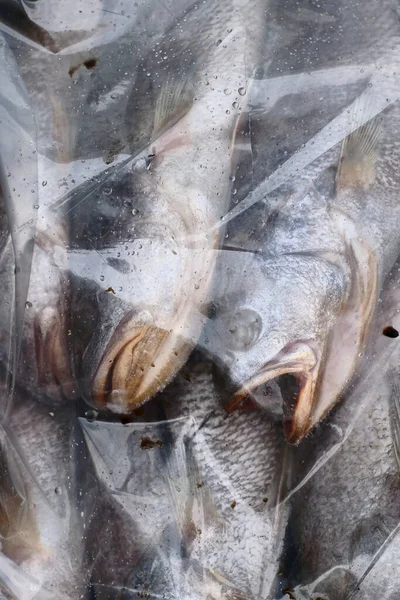 Свежая Рыба Пластиковом Пакете Местном Рынке — стоковое фото