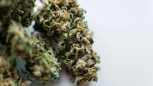 Marihuana Medicinal Legalización Marihuana Mundo —  Fotos de Stock