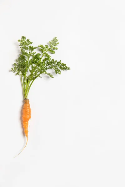 Zanahorias Ecológicas Aisladas Sobre Fondo Blanco — Foto de Stock