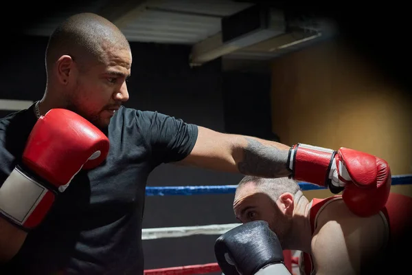 Determined Male Boxers Practicing Health Club Ring — Stock Photo, Image