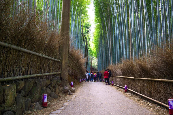 Arashiyama Bamboo Grove Hvězdnou Atrakcí Stát Uprostřed Těchto Vznášejících Stébel — Stock fotografie