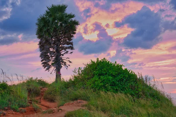 Phromthep Cape Famoso Mirador Atardecer Phuket Punto Senderismo Para Los — Foto de Stock