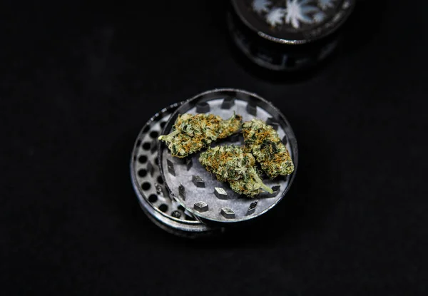 Rostoucí Sativa Indica Kmeny Uvnitř — Stock fotografie