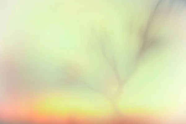 Landschaft Inspiriert Von Den Gemälden William Turners Hinterleuchteter Trockener Baum — Stockfoto
